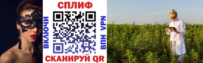 Наркота Соликамск Галлюциногенные грибы Меф СК МАРИХУАНА COCAIN