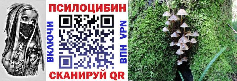купить наркотики цена  Соликамск  Псилоцибиновые грибы MAGIC MUSHROOMS 